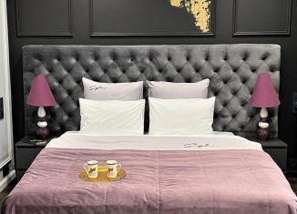 Сдаю в аренду квартиру студию, 29 м2, Санкт-Петербург, Подъездной переулок, 13