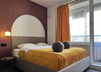 Аренда квартиры студии, 25 м2, Санкт-Петербург, проспект Будённого, 13, Красносельский район