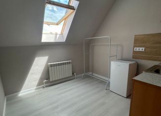 Продается квартира студия, 20 м2, Ростов-на-Дону, Кузнечная улица, 115