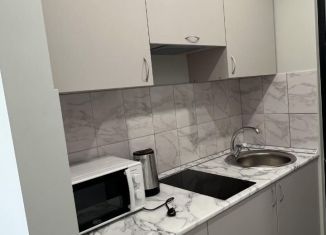 Сдается квартира студия, 20 м2, деревня Румянцево, Садовая улица, 12с1