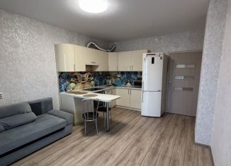 Сдам в аренду двухкомнатную квартиру, 50 м2, Пермь, улица Революции, 48А, ЖК Гулливер