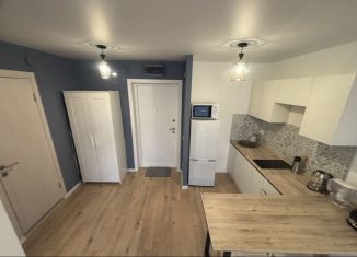 Однокомнатная квартира в аренду, 34 м2, деревня Новое Девяткино, Главная улица, 8