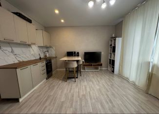 Продажа квартиры студии, 28.4 м2, Челябинск, улица Генерала Мартынова, 2