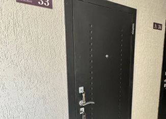 Квартира на продажу студия, 20.9 м2, Сочи, Фермерский переулок, 24/1, микрорайон Энергетик-Изумруд