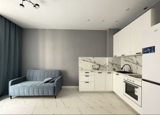 Аренда 2-комнатной квартиры, 42 м2, Санкт-Петербург, Петровский проспект, 9к2