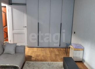 Продается 1-комнатная квартира, 30 м2, Златоуст, 3-й микрорайон проспекта имени Ю.А. Гагарина, 29