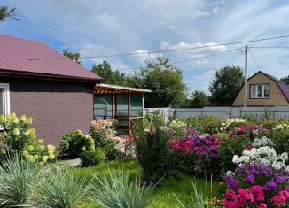 Продаю дачу, 50 м2, Благовещенск