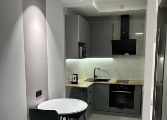 Аренда однокомнатной квартиры, 42.2 м2, Краснодар, улица Селезнёва, 4/4, микрорайон Черемушки