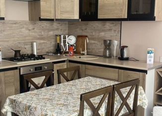 Сдам в аренду дом, 40 м2, село Хлебороб