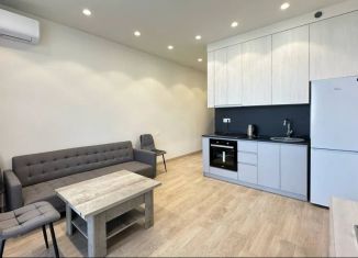 Продам 2-комнатную квартиру, 45 м2, Сочи, улица Голубые Дали, 20/1, микрорайон Голубые Дали