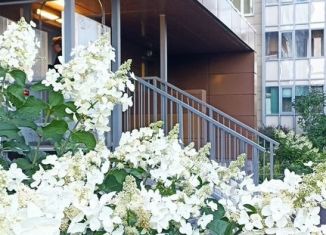 Продам двухкомнатную квартиру, 56.5 м2, Мурино, проспект Авиаторов Балтики, 3, ЖК Мой Город