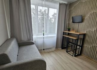 Квартира в аренду студия, 15.5 м2, Ивантеевка, Санаторный проезд, 2