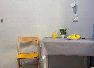 Сдам в аренду квартиру студию, 15 м2, Санкт-Петербург, набережная реки Фонтанки, 75