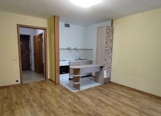 Продается квартира студия, 23 м2, деревня Хохряки, Тепличная улица, 32