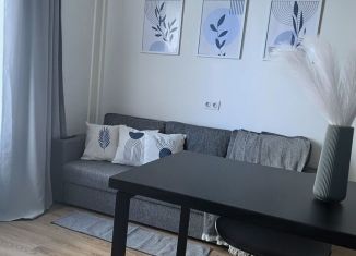 Сдам в аренду квартиру студию, 20 м2, Люберцы, Некрасовский проезд, 13, ЖК Люберцы 2018