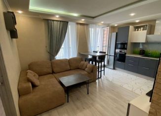 Сдается в аренду 3-ком. квартира, 55 м2, Санкт-Петербург, Комендантский проспект, 55к1