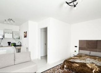 Сдается квартира студия, 26 м2, Мурино, улица Шувалова, 12