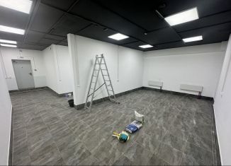 Помещение свободного назначения на продажу, 86 м2, посёлок Шушары, Валдайская улица, 6к1