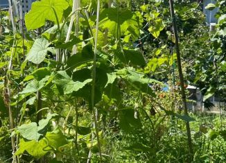 Продается земельный участок, 6 сот., Сочи, улица Гончарова, 2