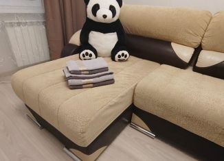 Сдача в аренду 1-ком. квартиры, 34 м2, Хабаровск, Краснореченская улица, 163А