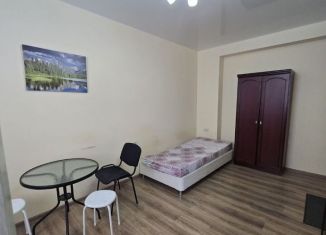 Сдается в аренду квартира студия, 20 м2, Ростов-на-Дону, улица Мадояна, 100