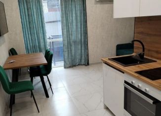 Двухкомнатная квартира в аренду, 52 м2, Сочи, садоводческое товарищество Лысая Гора, 88/2Г, микрорайон Светлана