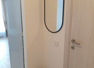 Сдается квартира студия, 25.1 м2, деревня Новое Девяткино, Главная улица, 8, ЖК Заречный Парк