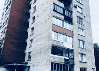 Сдается 2-комнатная квартира, 50 м2, Санкт-Петербург, Народная улица, 48