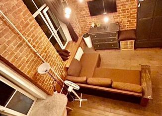 Сдам квартиру студию, 25 м2, Санкт-Петербург, Социалистическая улица, 5