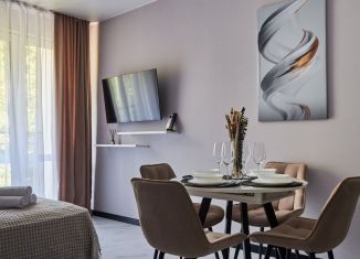 Сдаю в аренду квартиру студию, 30 м2, Сочи, улица Искры, 88к2, микрорайон Кудепста