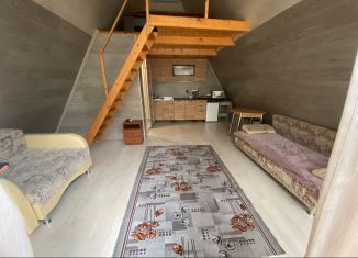 Сдается в аренду дом, 36 м2, Республика Башкортостан, Теневая улица, 3