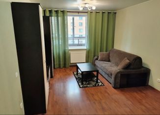 Сдача в аренду квартиры студии, 27 м2, посёлок Металлострой, Полевая улица, 9