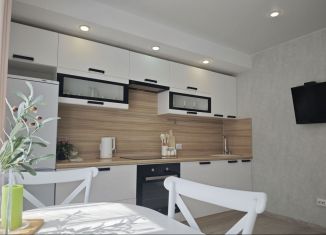 Продам 1-комнатную квартиру, 47 м2, село Раздольное, Тепличная улица, 83