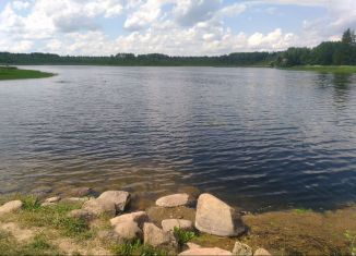 Участок на продажу, 10.9 сот., деревня Ляды, 41К-475