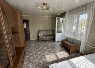 Сдам в аренду однокомнатную квартиру, 41.6 м2, деревня Павловское, Колхозная улица, 6