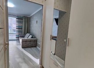 Квартира в аренду студия, 22 м2, Краснодар, 2-я Российская улица, 162, микрорайон Завод Радиоизмерительных Приборов