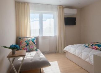 Сдается в аренду 1-ком. квартира, 28 м2, Сириус, улица Акаций, 34к2