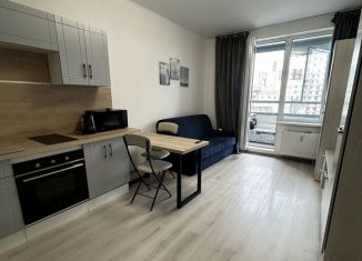 Квартира на продажу студия, 24.5 м2, Санкт-Петербург, Арцеуловская аллея, 21