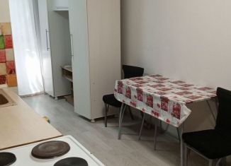 Сдача в аренду квартиры студии, 23.3 м2, Ростов-на-Дону, улица Ткачёва, 23, ЖК Левенцовка Парк