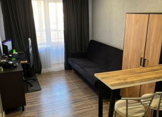 Продажа квартиры студии, 19.6 м2, село Зубово, Весенняя улица, 2