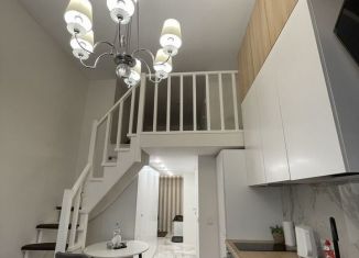 Квартира в аренду студия, 25 м2, Санкт-Петербург, улица Тюшина, 24