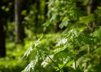 Продается земельный участок, 19 сот., деревня Калчуга