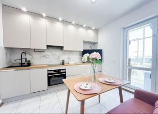 Продается 1-ком. квартира, 44 м2, Санкт-Петербург, Плесецкая улица, 4, ЖК Ариосто