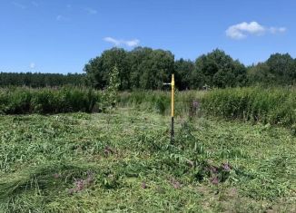 Продам земельный участок, 8 сот., деревня Решетникова, Салаирский тракт, 14-й километр