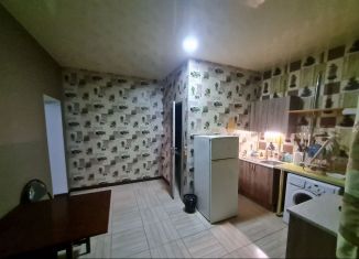 Сдача в аренду однокомнатной квартиры, 40 м2, Краснодар, улица 1 Мая, 420, микрорайон Завод Радиоизмерительных Приборов