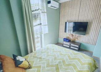 Сдается в аренду 1-комнатная квартира, 28.6 м2, Сочи, Красная улица, 34А, микрорайон Центральный