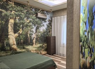 Сдача в аренду 2-комнатной квартиры, 68 м2, Ростов-на-Дону, улица Народного Ополчения, 213