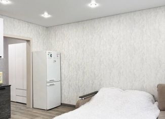 Сдается квартира студия, 20 м2, Оренбургская область, улица Юркина, 10