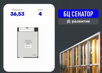 Продажа помещения свободного назначения, 36.53 м2, Воронеж, улица 20-летия Октября, 59, Ленинский район