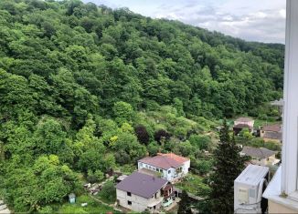 Сдача в аренду квартиры студии, 30 м2, село Краевско-Армянское, Измайловская улица, 20А